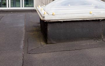 disadvantages of Blaenpennal flat roofs