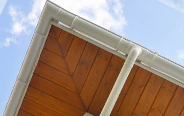 Blaenpennal soffit types
