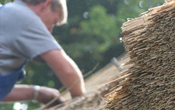 professional Blaenpennal thatchers